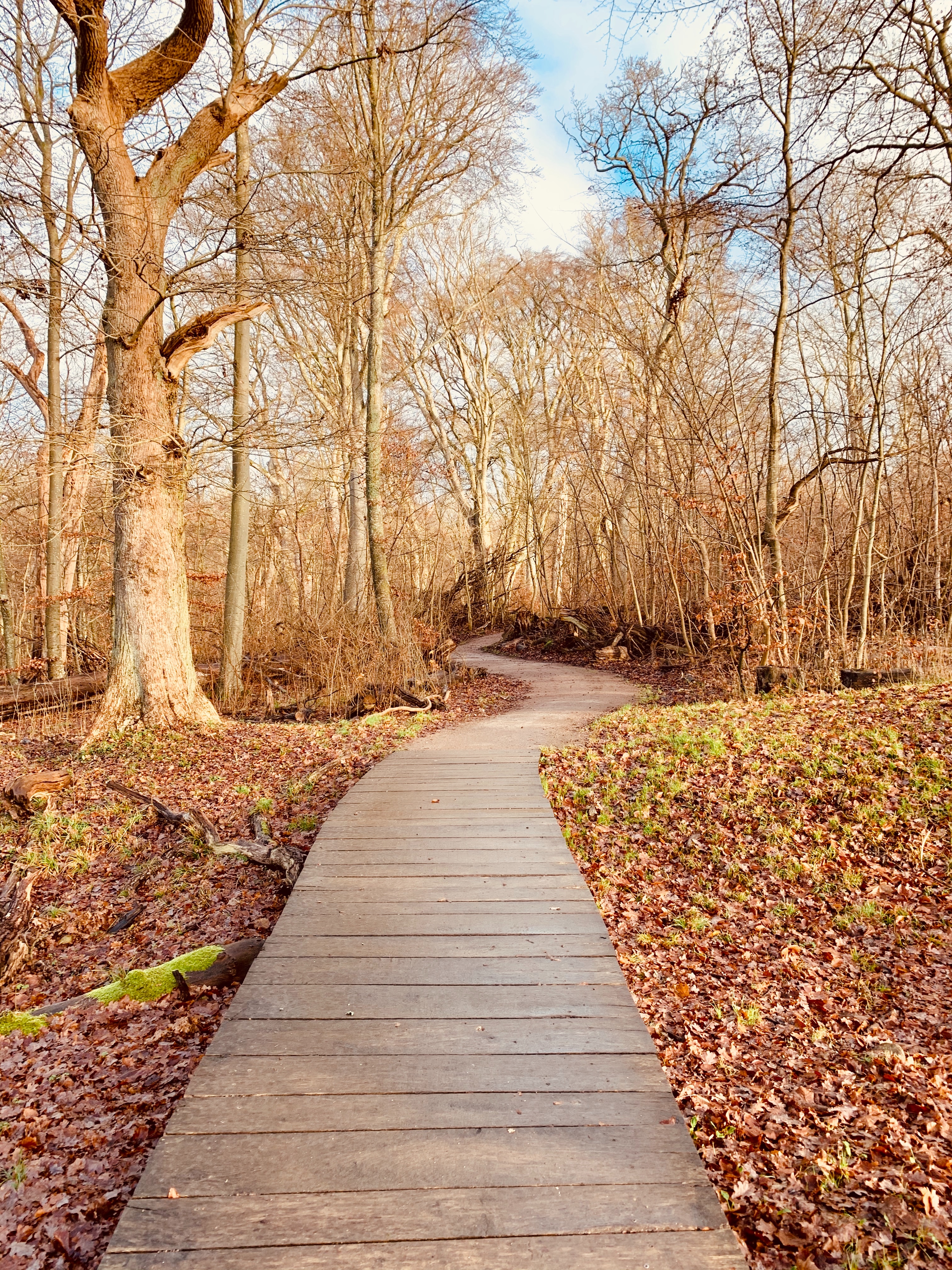 Which path to take - Photo by Drahomír Posteby-Mach on Unsplash